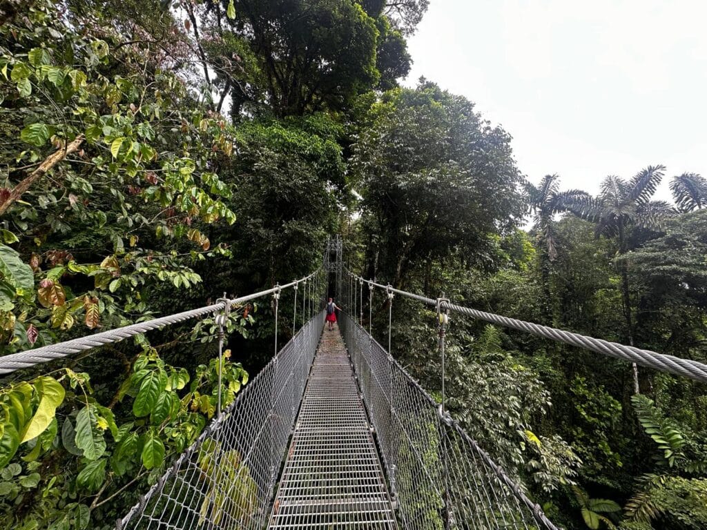 Walking through Mistico hanging bridges, Costa Rica