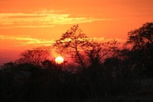 Sunset view at Jungle Casita