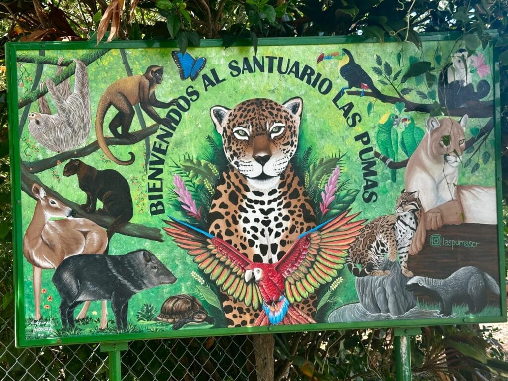 Las Pumas Sanctuary - Costa Rica