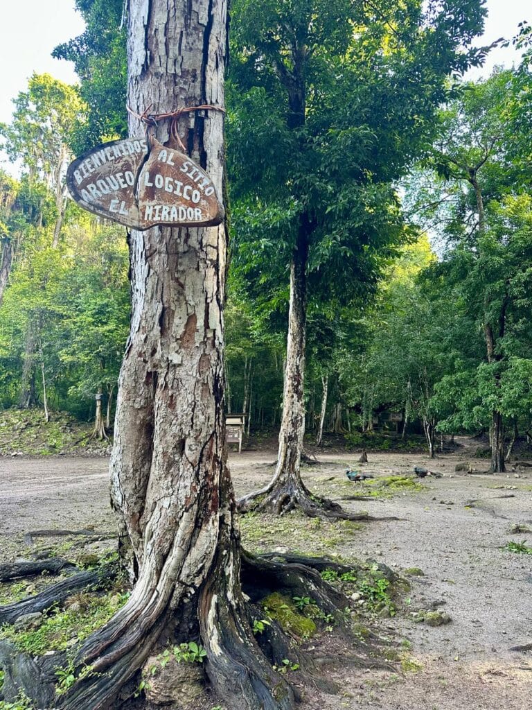 WhatsApp Image 2025-11-02 at 13.24.43_4bb2d0b7 12-Day Guatemala Itinerary