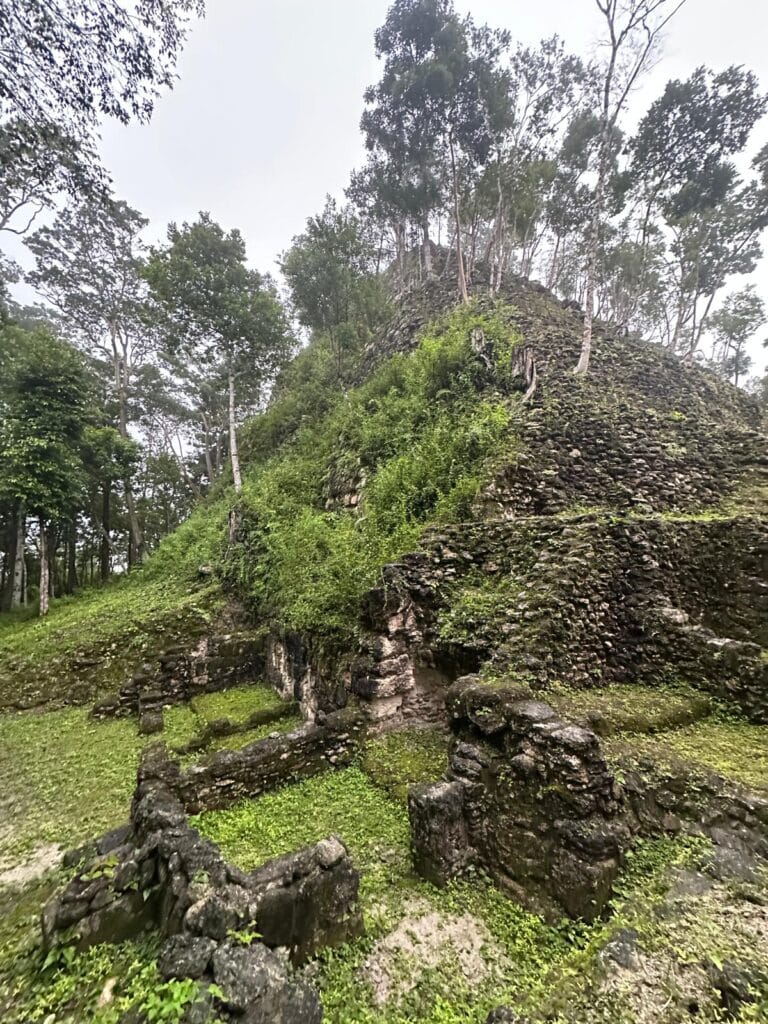 WhatsApp Image 2025-11-02 at 13.28.09_e429ab89 12-Day Guatemala Itinerary - El Mirador