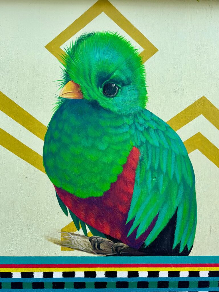 WhatsApp Image 2025-11-02 at 14.49.05_89efefe6 12-Day Guatemala Itinerary