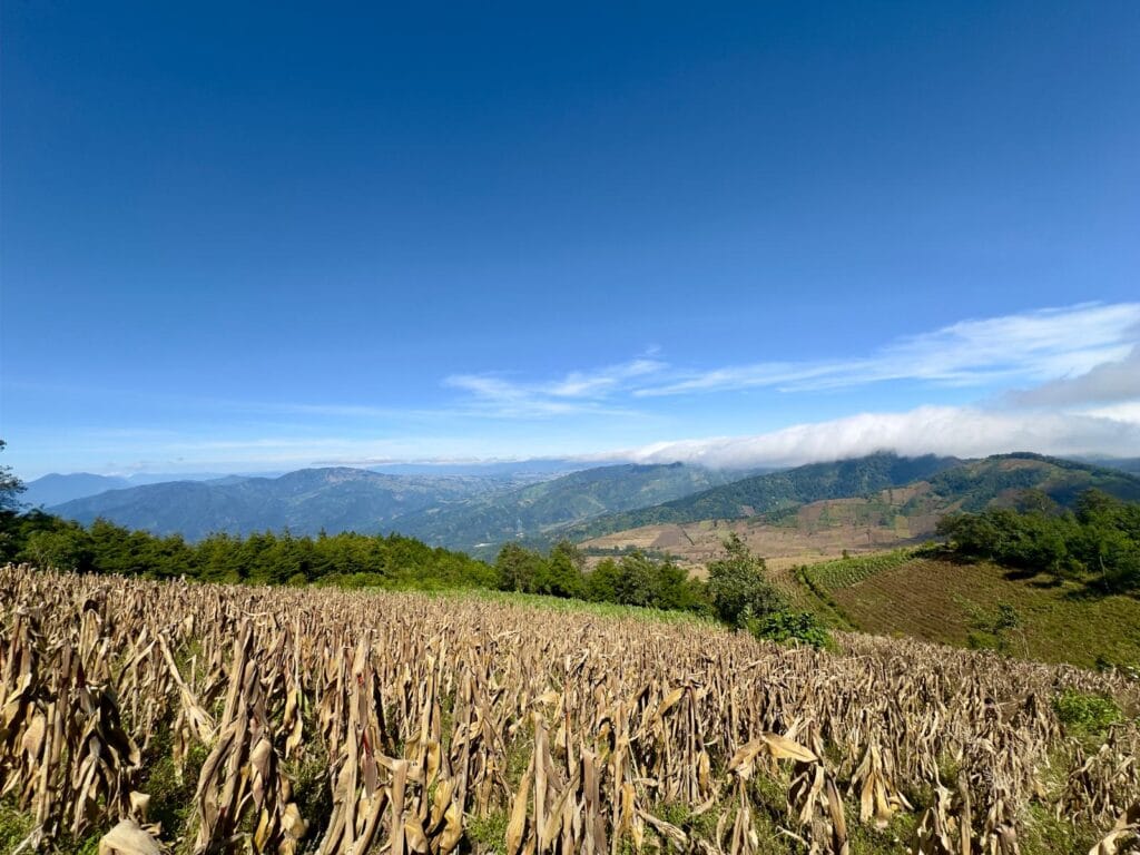 What to expect hiking Acatenango - first part of the hike