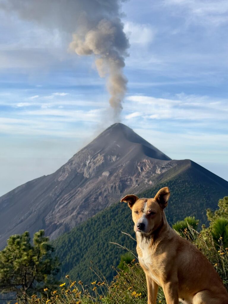 What to expect hiking Acatenango 