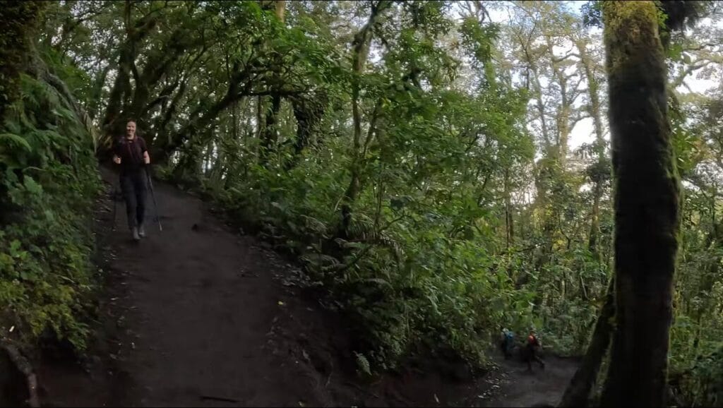 Hike down Acatenango