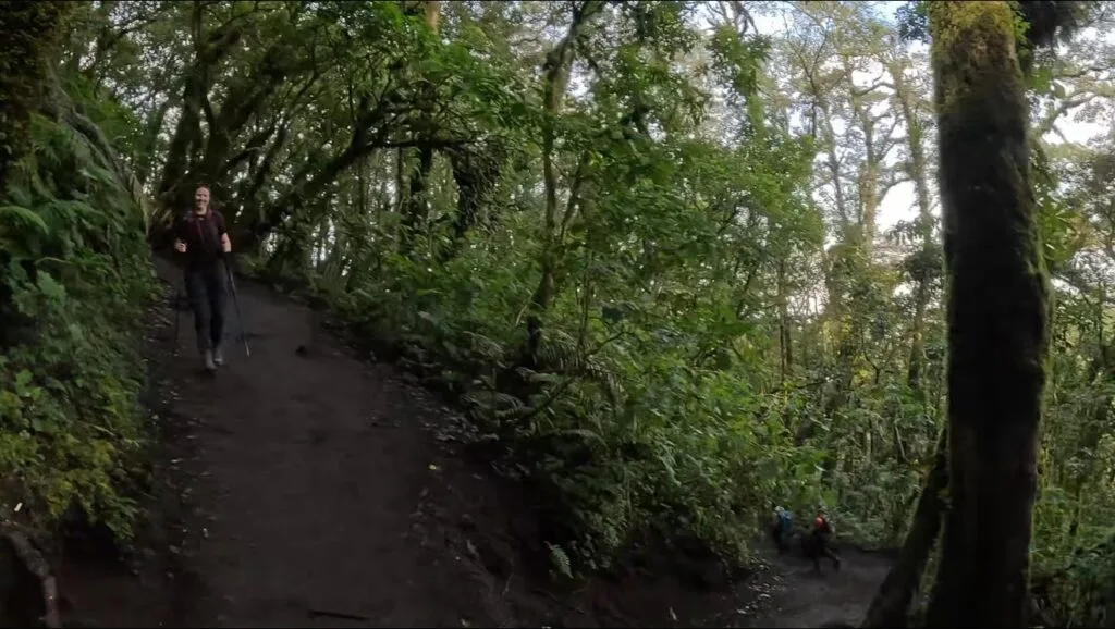 Hike down Acatenango