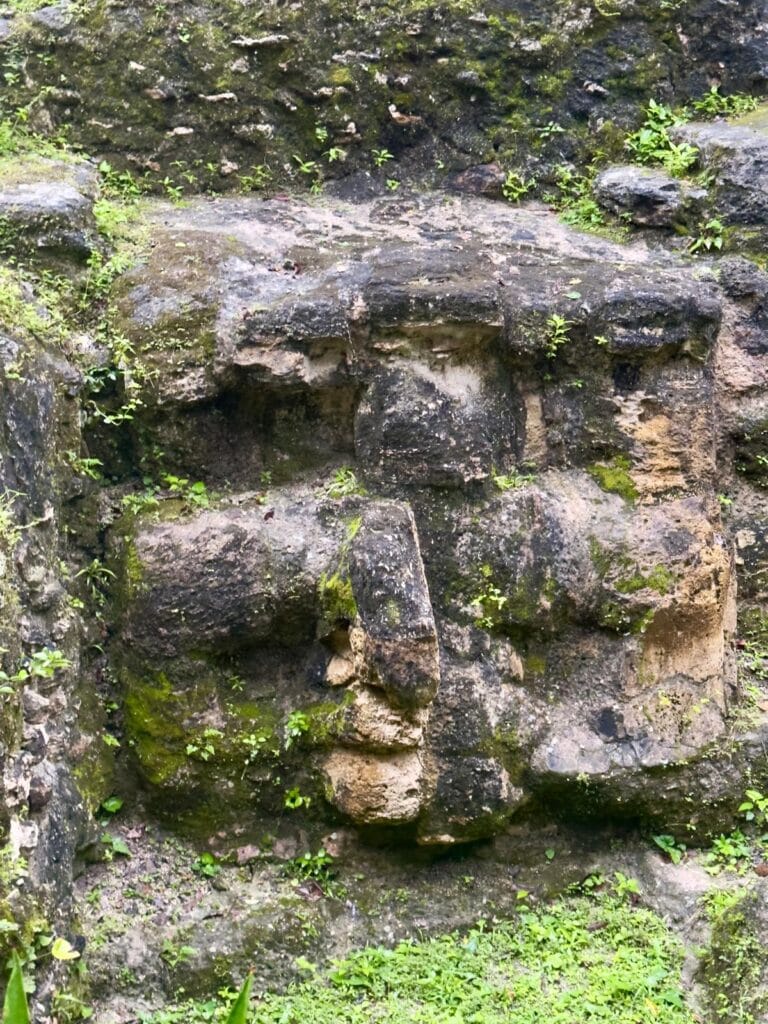 WhatsApp Image 2025-11-11 at 13.16.25_7fb62f3d Trek to El Mirador, Guatemala