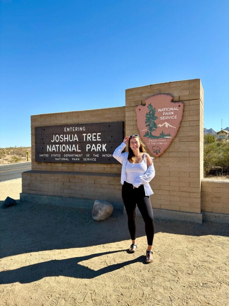 Joshua Tree one day itinerary