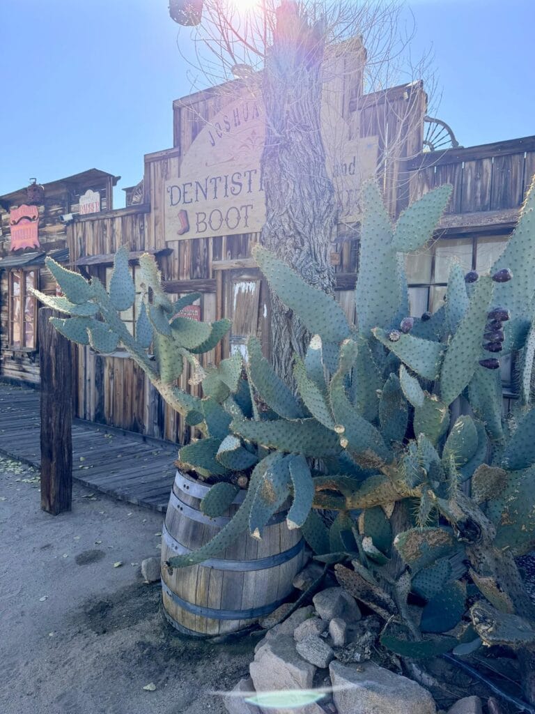 Joshua Tree Town Joshua Tree Town