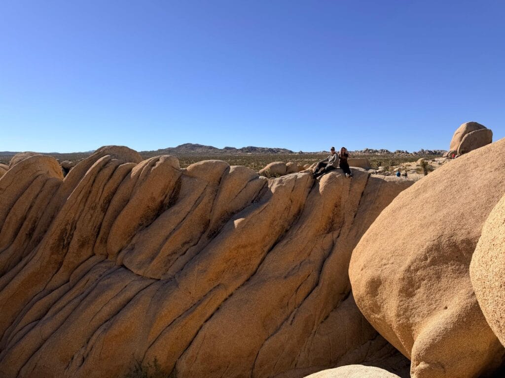 Jumbo Rocks Jumbo Rocks