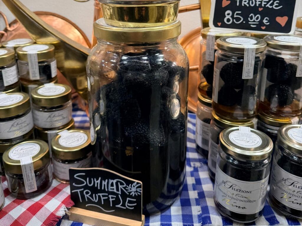 Truffle hunting Unique things to do in Tuscany - Truffle hunting