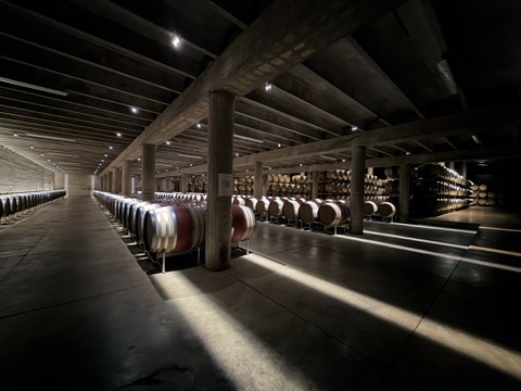wine-barrel-cellar-ricasoli View of cellars Ricasoli Castle