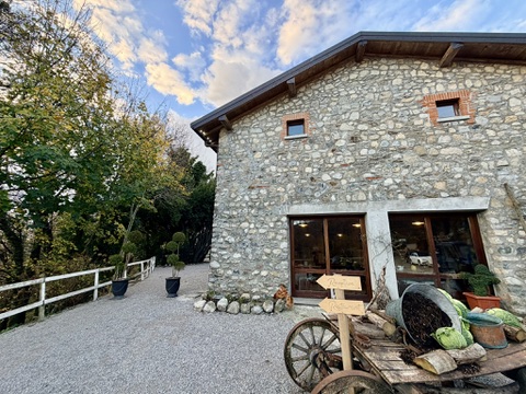 breakfast at the agriturismo