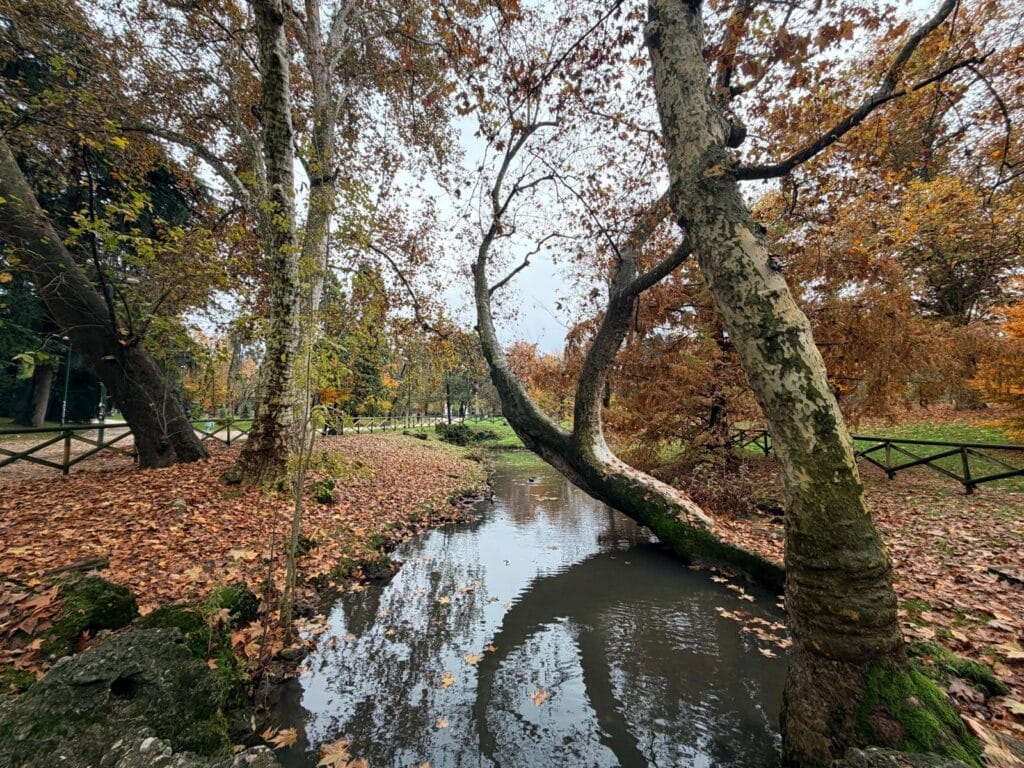 Sforzesco Castle grounds during fall 